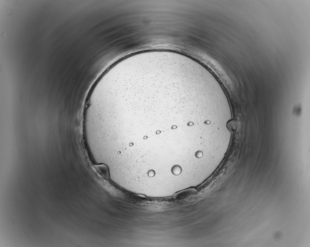 X0000103411236200810031239