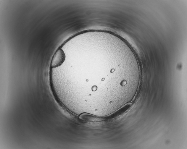 X0000103411237200810031239