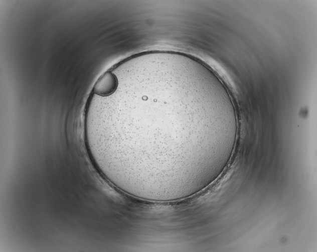 X0000103411238200810031239