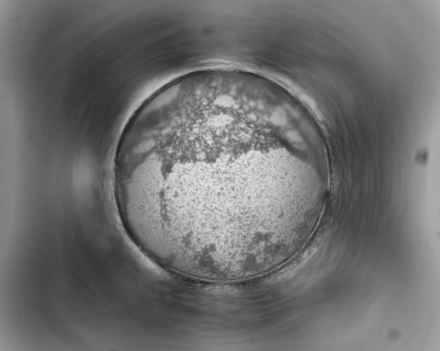 X0000103411239200810031239