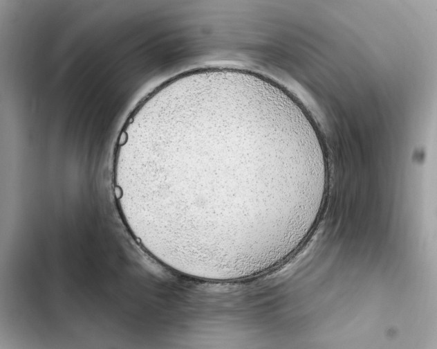 X0000103411240200810031239