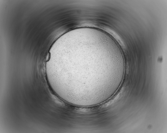 X0000103411241200810031239