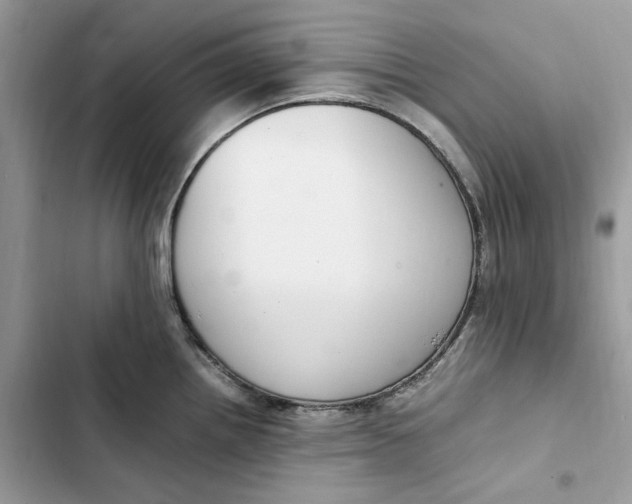 X0000103411242200810031239