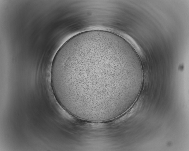 X0000103411244200810031239