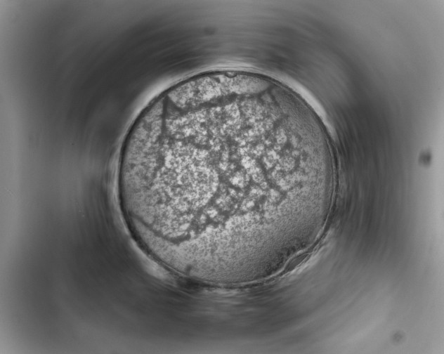 X0000103411245200810031239