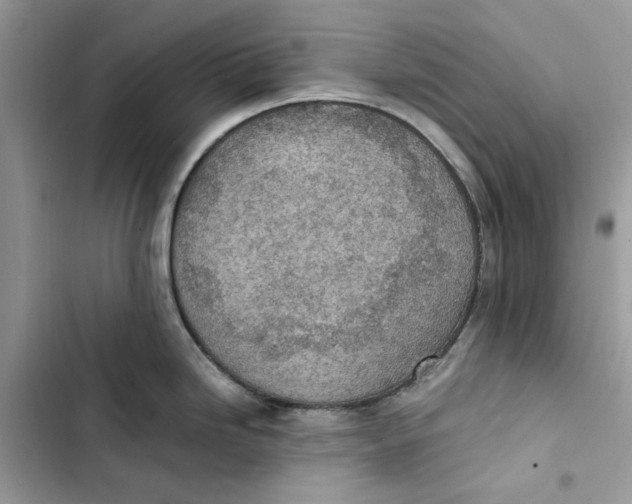 X0000103411246200810031239