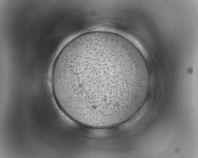 X0000103411247200810031239