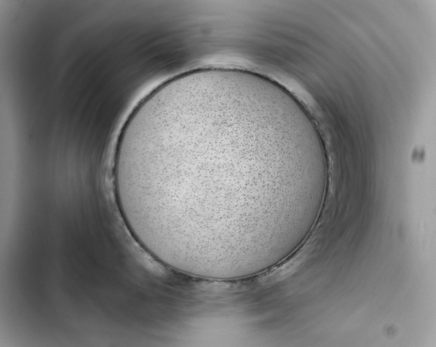 X0000103411248200810031239