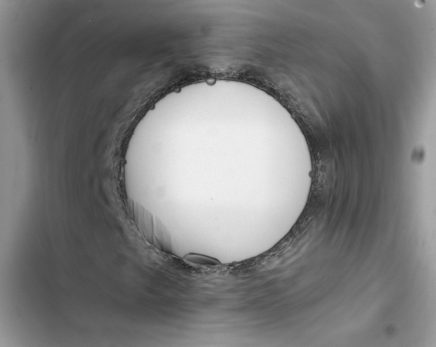 X0000103411249200810031238