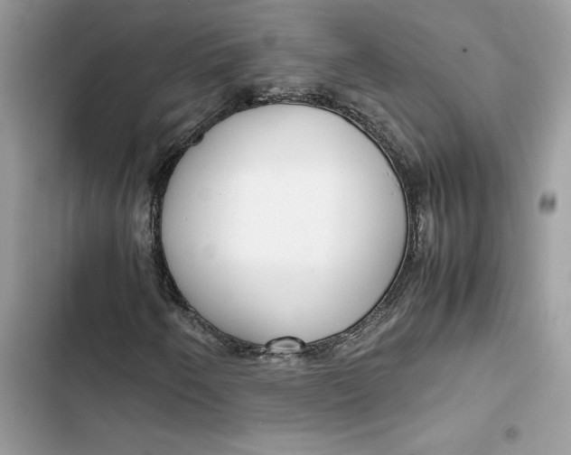 X0000103411250200810031238