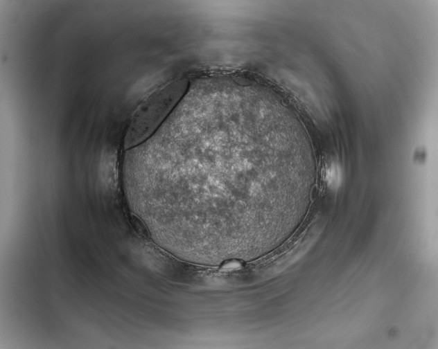 X0000103411252200810031238