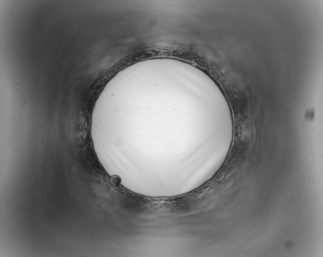 X0000103411253200810031238