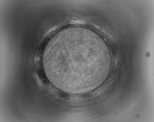 X0000103411254200810031238