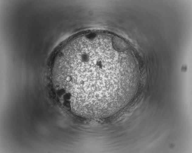 X0000103411255200810031238