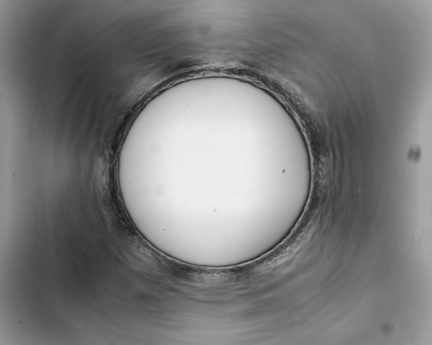 X0000103411257200810031238