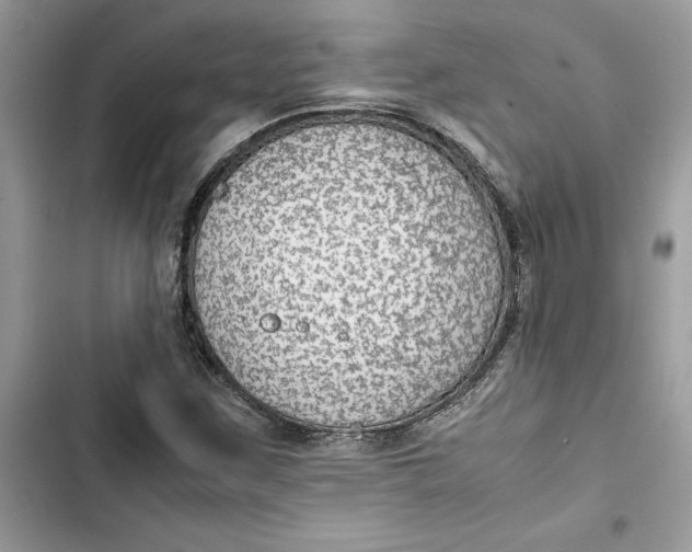 X0000103411259200810031238