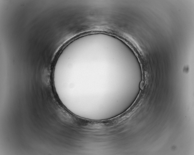 X0000103411260200810031238