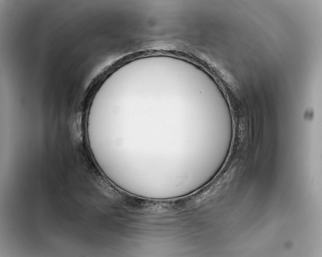 X0000103411262200810031238