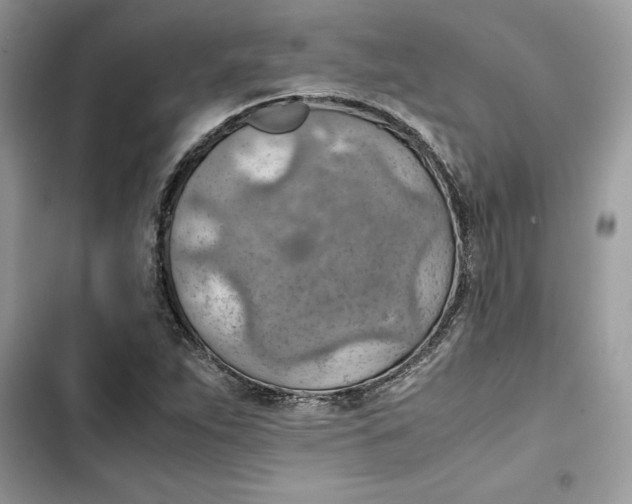 X0000103411263200810031238