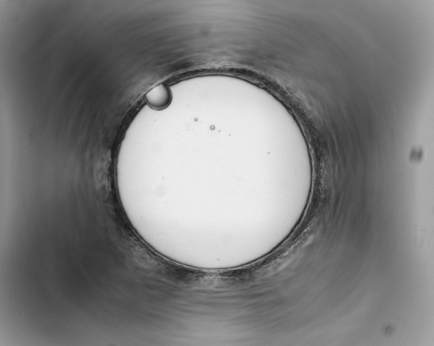 X0000103411265200810031238