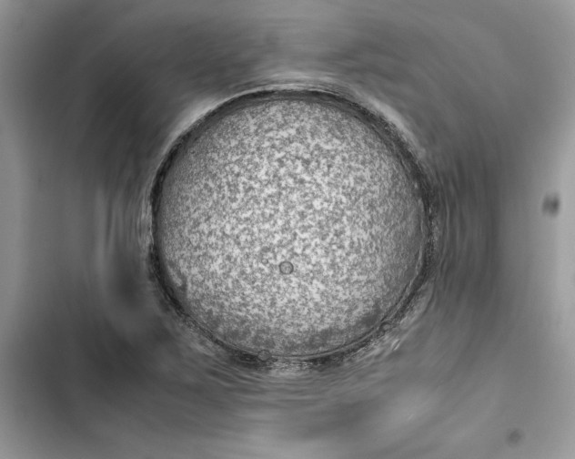 X0000103411267200810031238