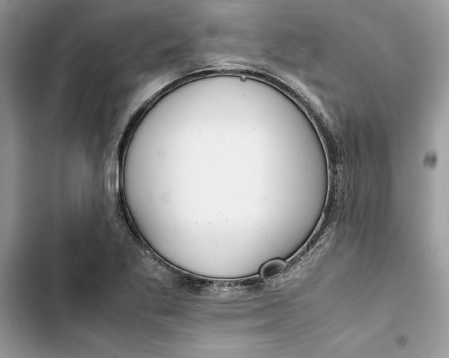 X0000103411269200810031238