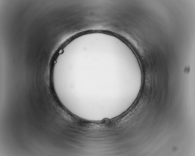 X0000103411270200810031238