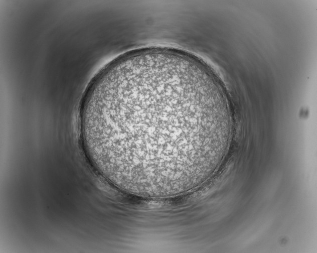 X0000103411271200810031238