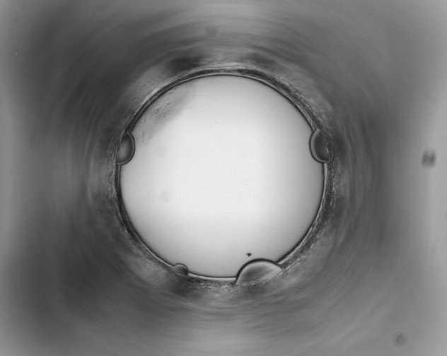 X0000103411273200810031238