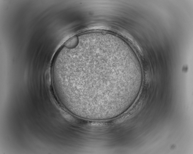 X0000103411274200810031238