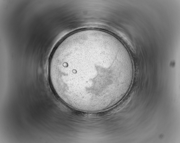 X0000103411275200810031238