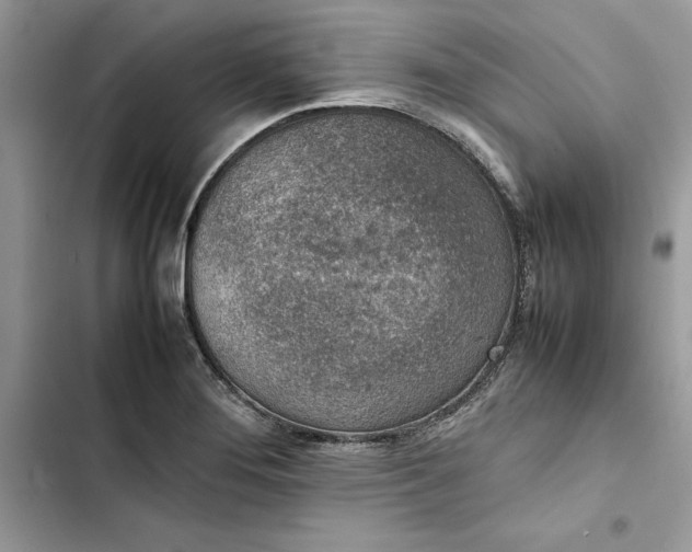 X0000103411276200810031238