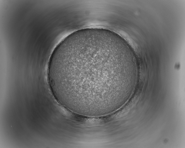 X0000103411277200810031238