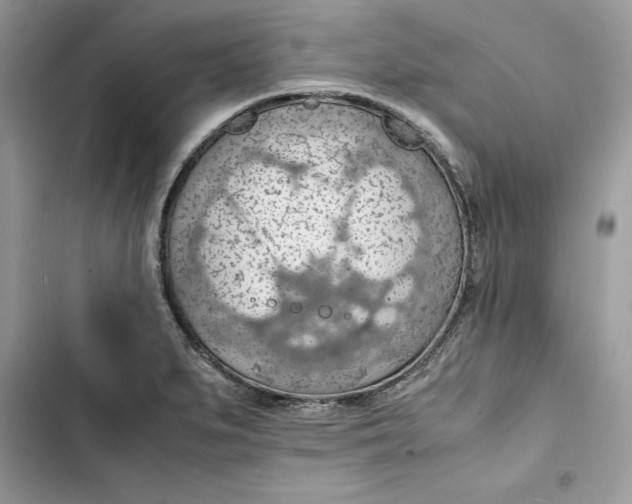 X0000103411279200810031238