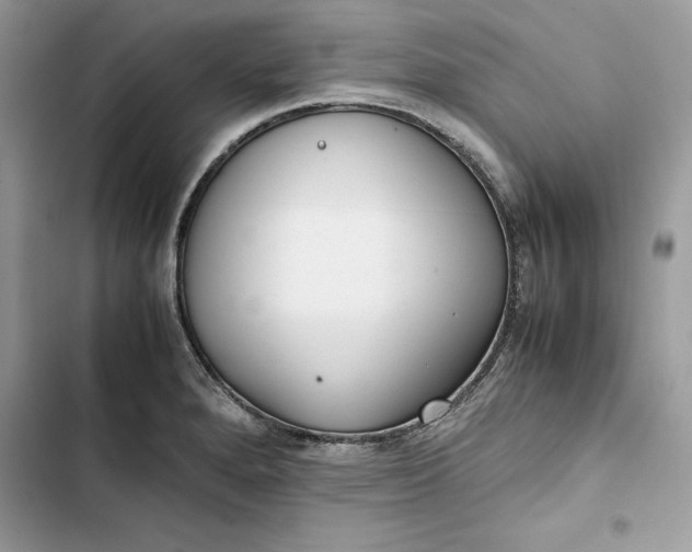 X0000103411280200810031238