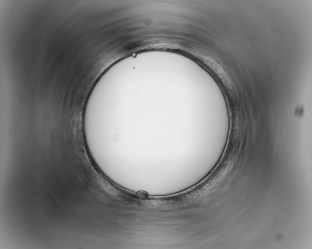 X0000103411281200810031238