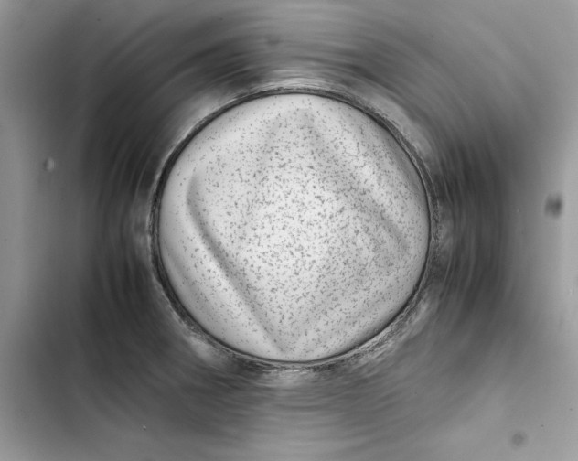 X0000103411282200810031238