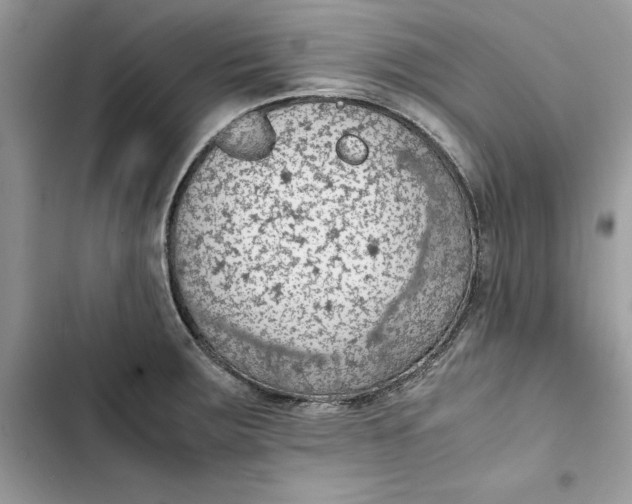 X0000103411283200810031238