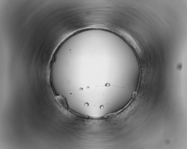 X0000103411284200810031238