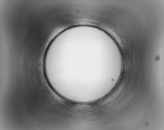 X0000103411285200810031238