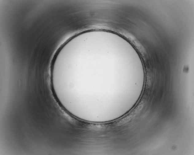 X0000103411286200810031238