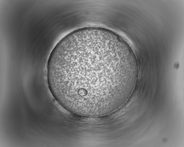 X0000103411287200810031238