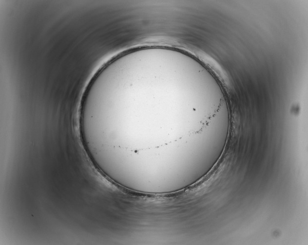 X0000103411288200810031238