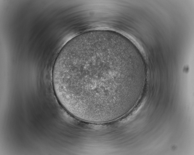 X0000103411289200810031238