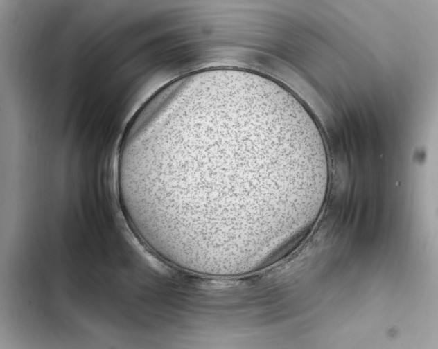 X0000103411290200810031238