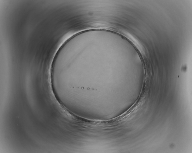 X0000103411291200810031238