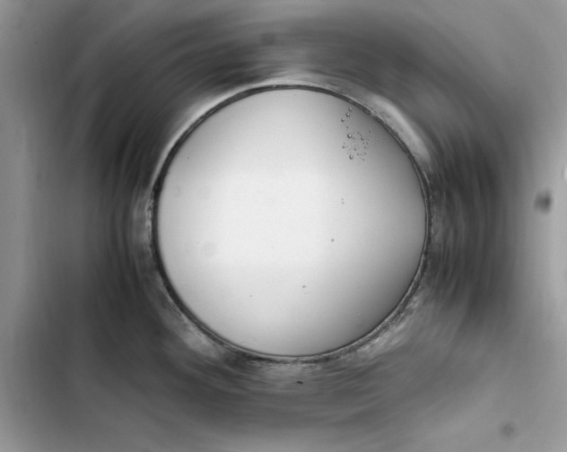 X0000103411292200810031238