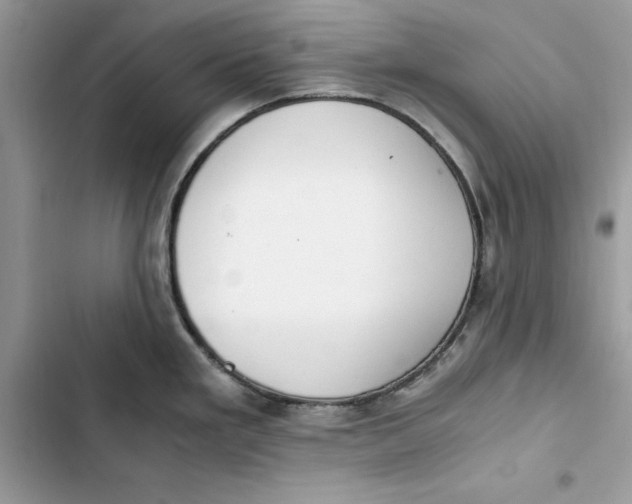 X0000103411293200810031238