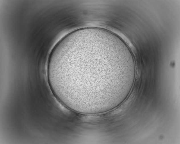 X0000103411294200810031238