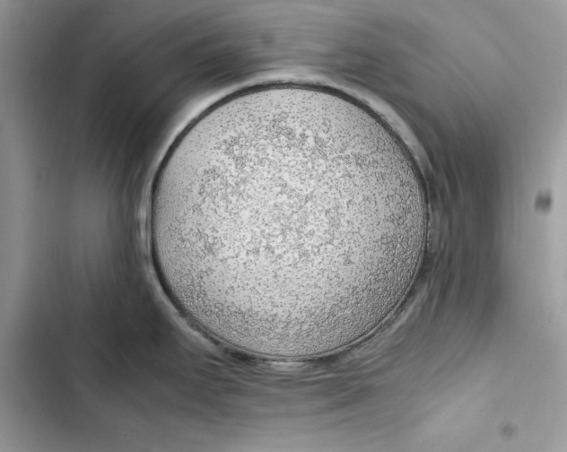 X0000103411295200810031238